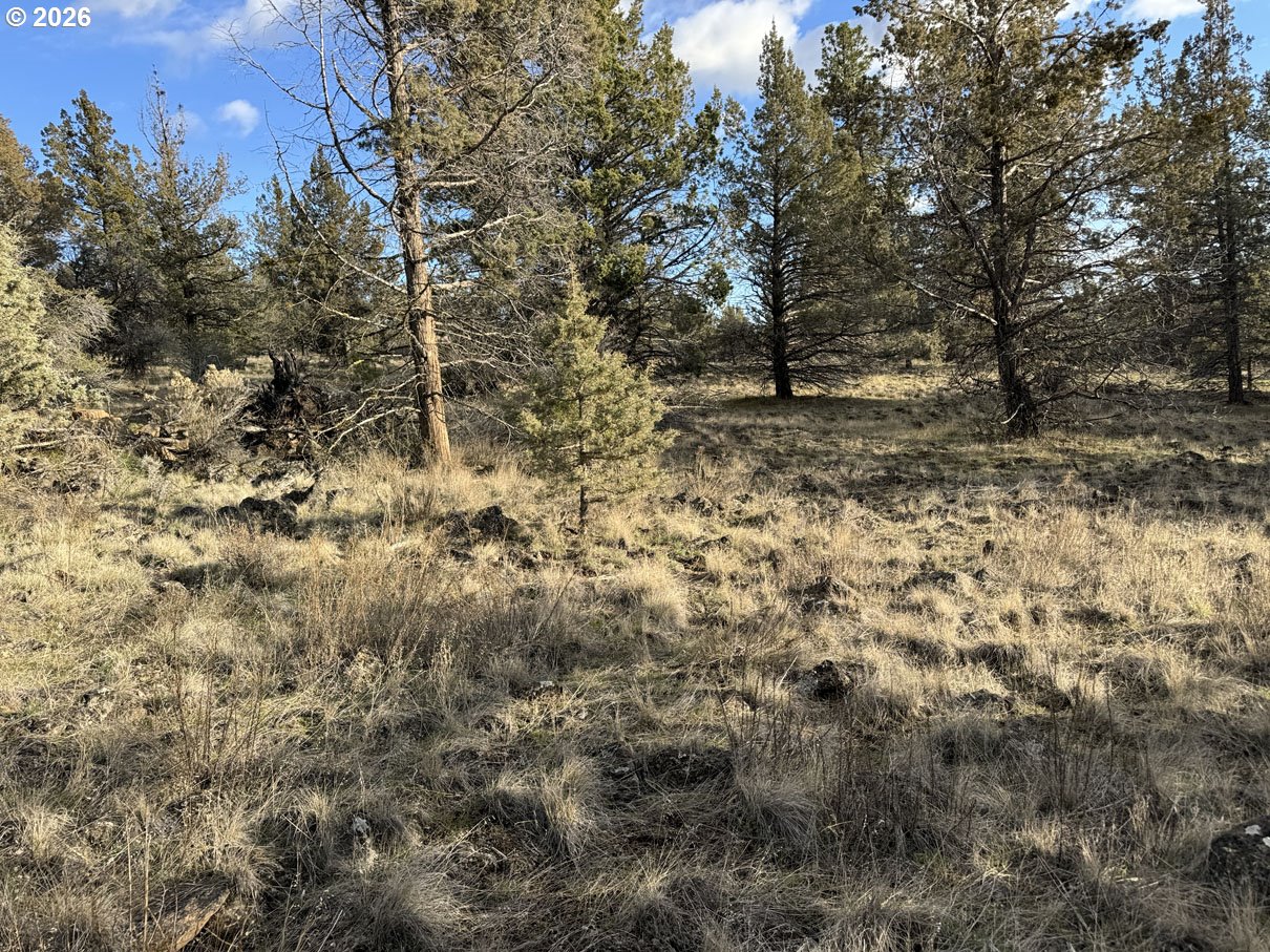 Canvasback Dr 35 Property Photo 2