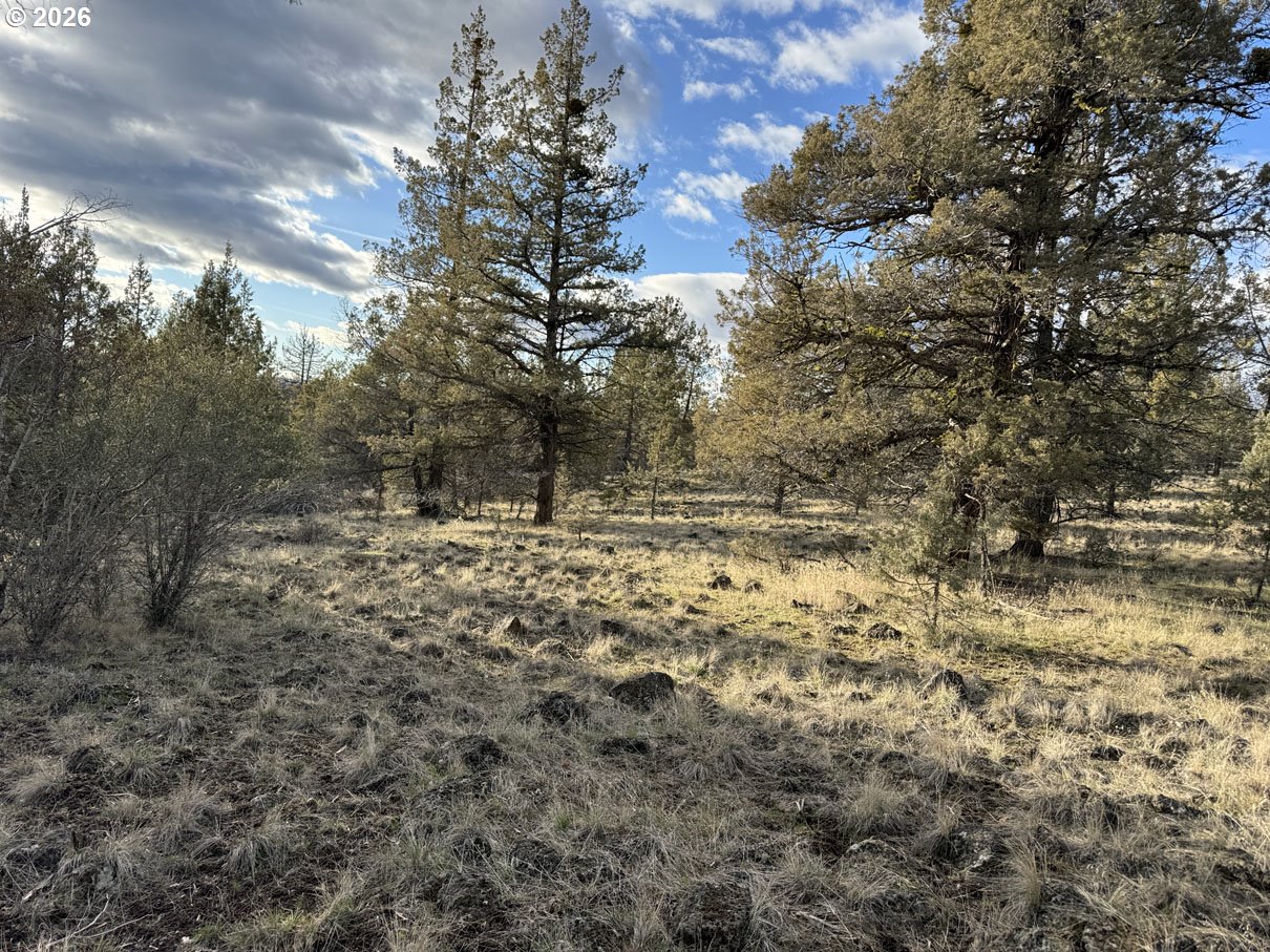 Canvasback Dr 35 Property Photo 3