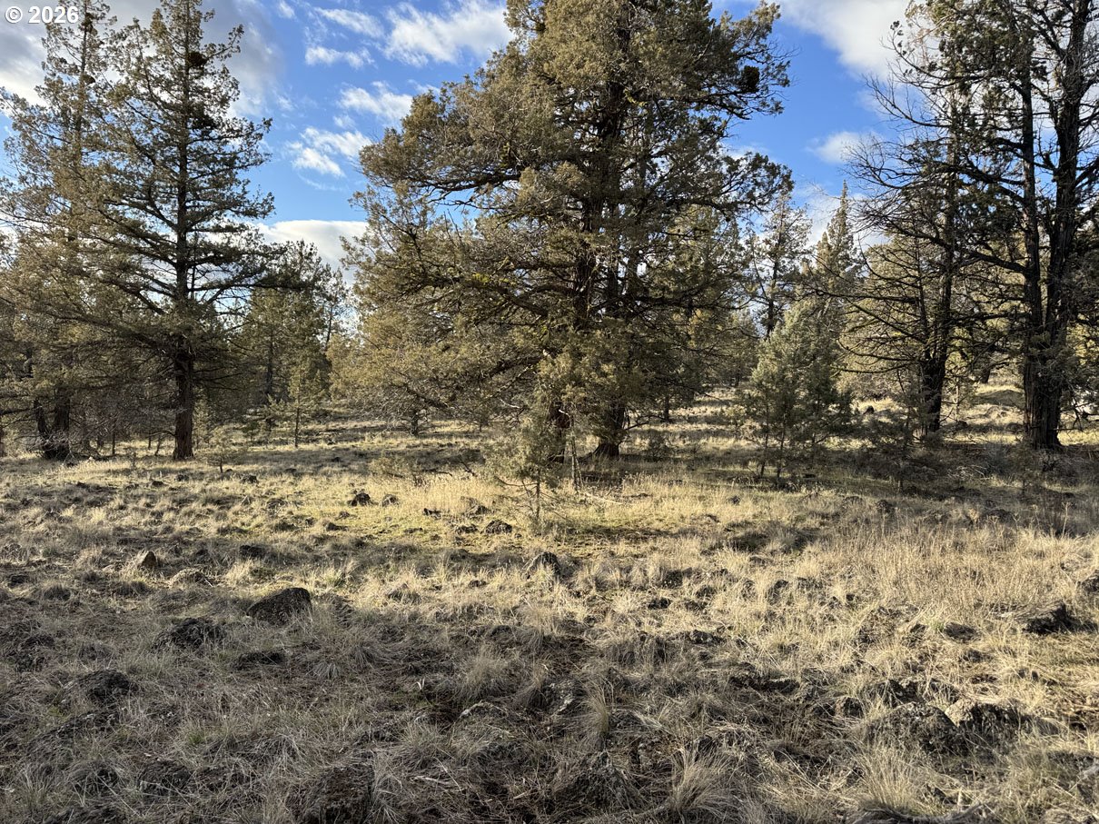 Canvasback Dr 35 Property Photo 4
