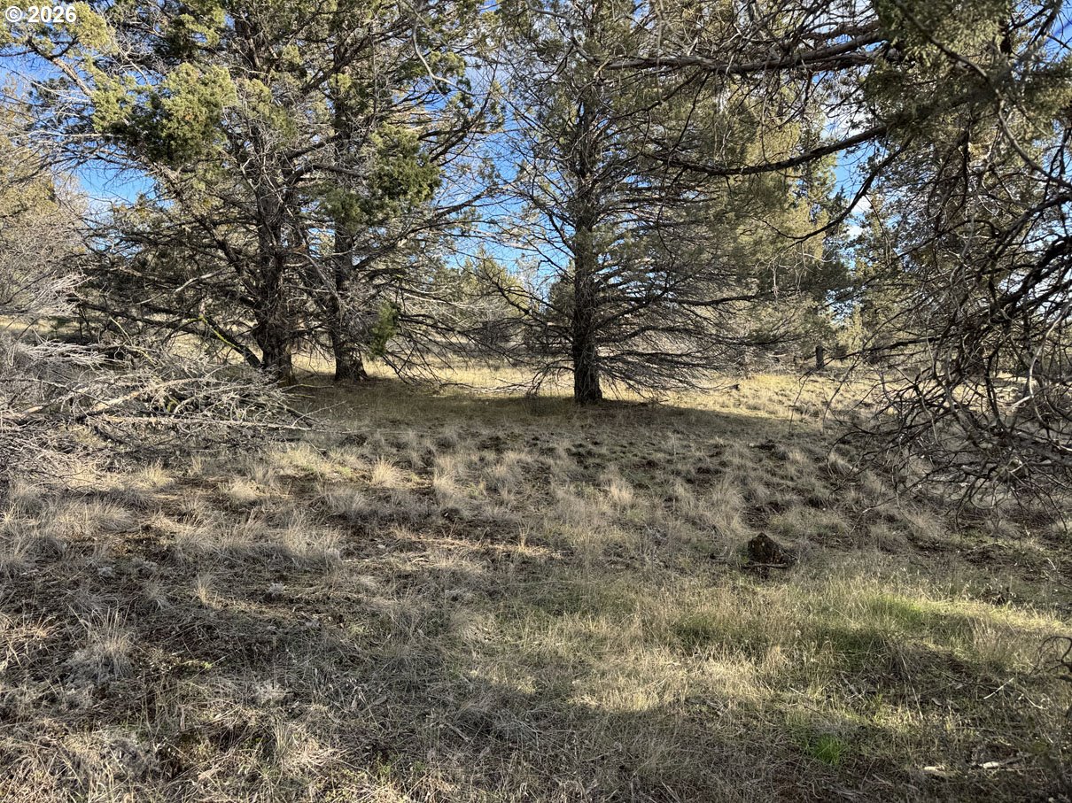 Canvasback Dr 35 Property Photo 5