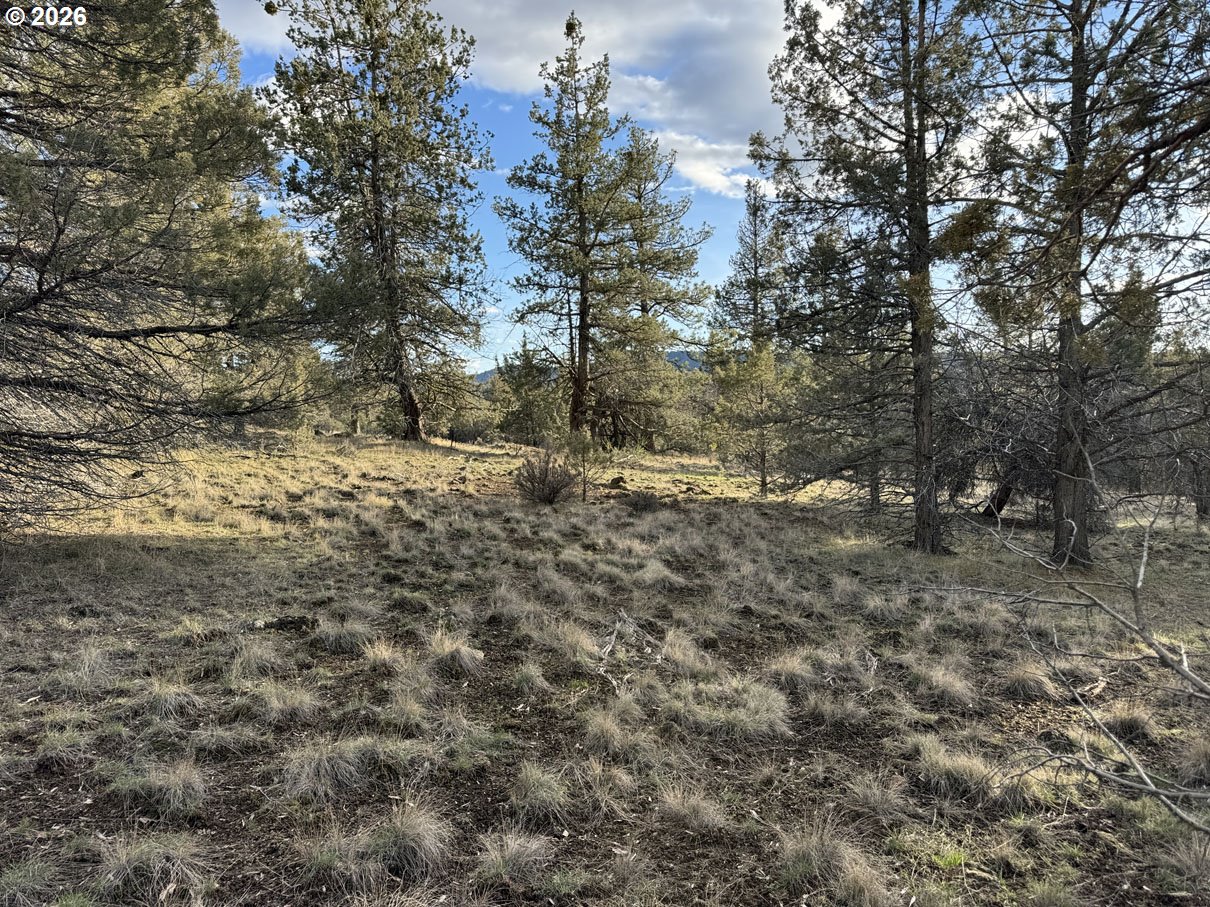 Canvasback Dr 35 Property Photo 6