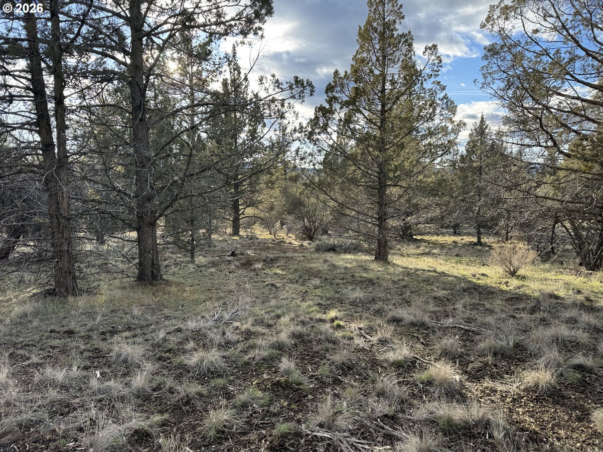 Canvasback Dr 35 Property Photo 7