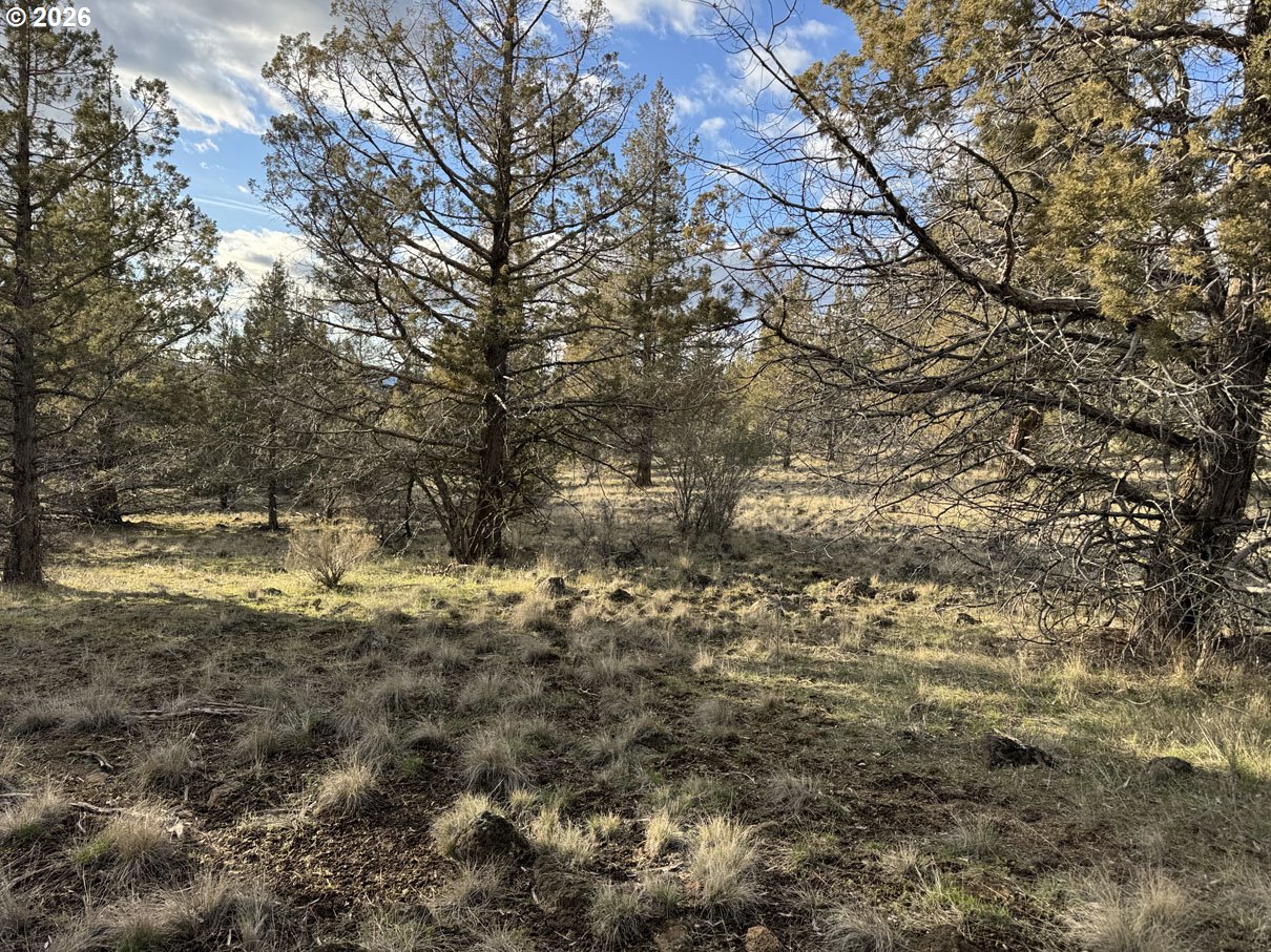 Canvasback Dr 35 Property Photo 8