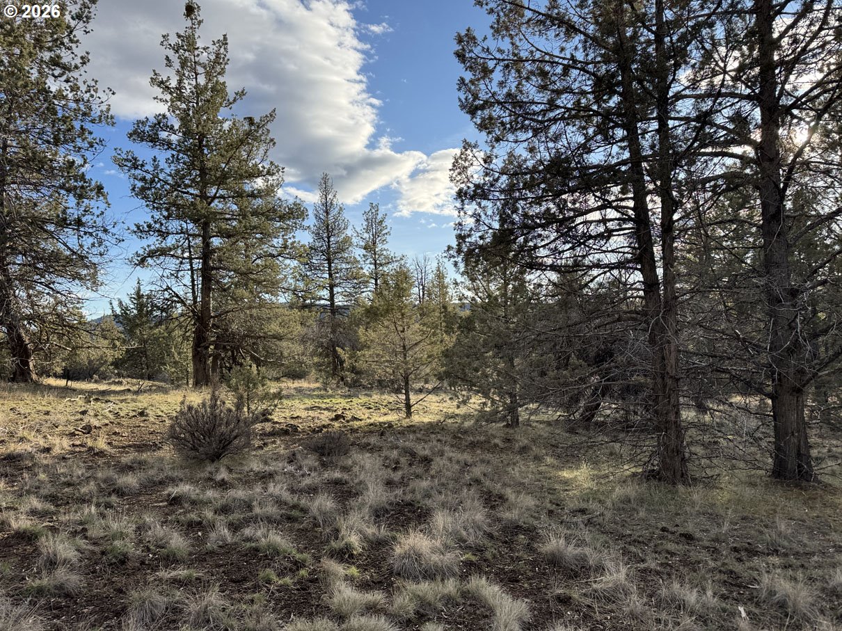 Canvasback Dr 35 Property Photo 9
