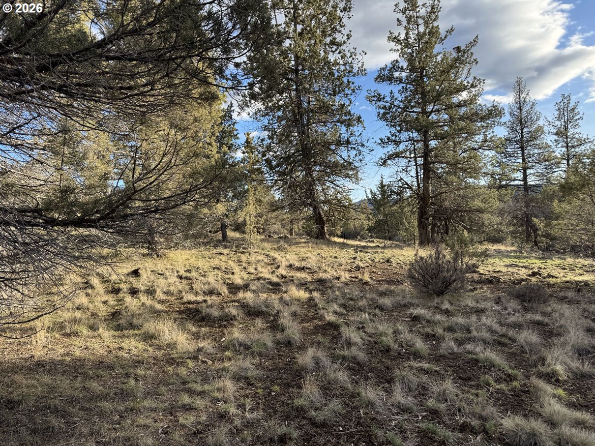 Canvasback Dr 35 Property Photo 10
