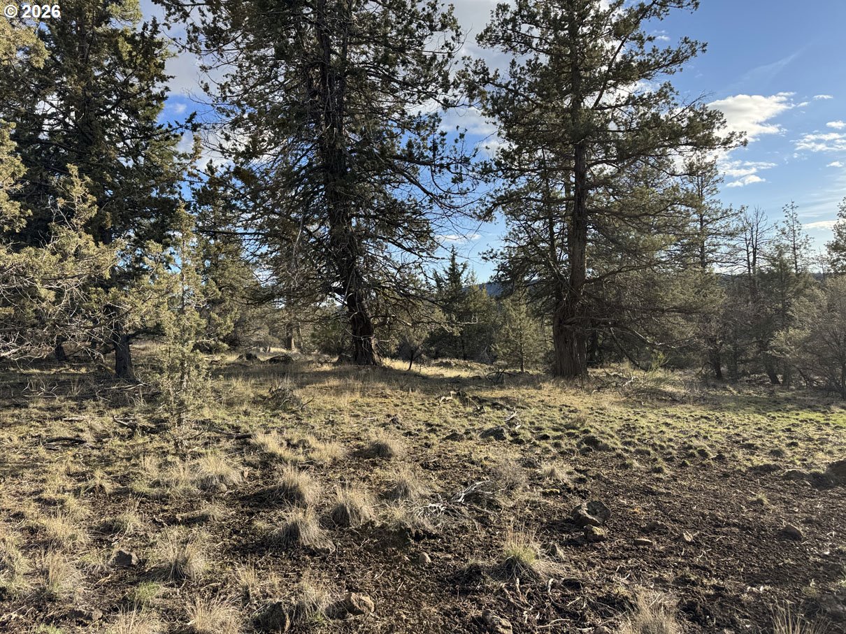 Canvasback Dr 35 Property Photo 11