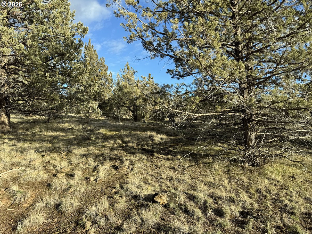 Canvasback Dr 35 Property Photo 12