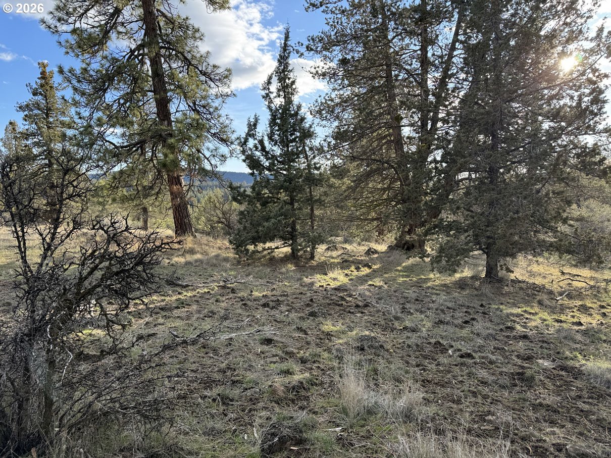 Canvasback Dr 35 Property Photo 13