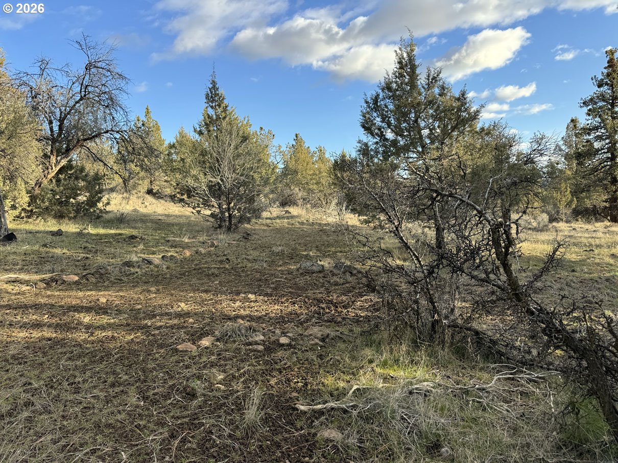Canvasback Dr 35 Property Photo 14