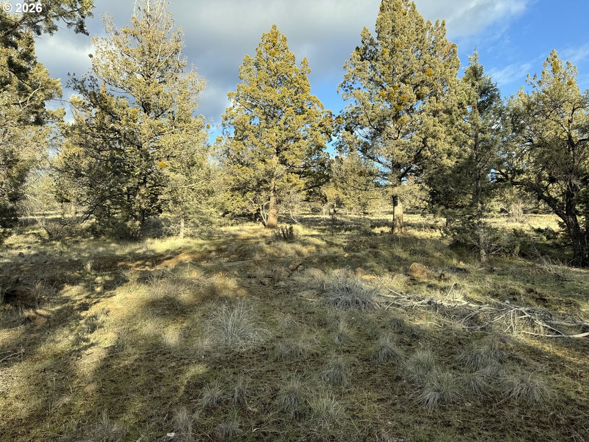 Canvasback Dr 35 Property Photo 15
