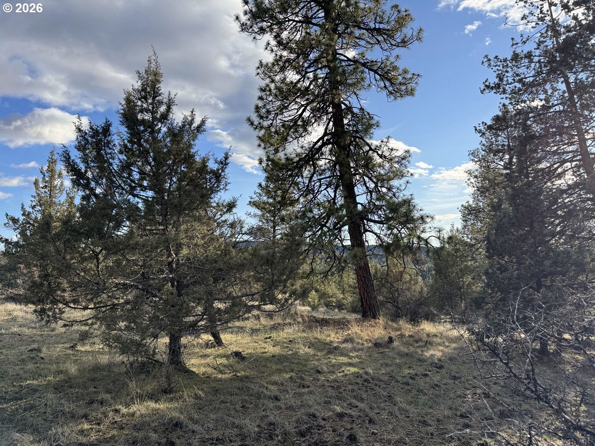 Canvasback Dr 35 Property Photo 16