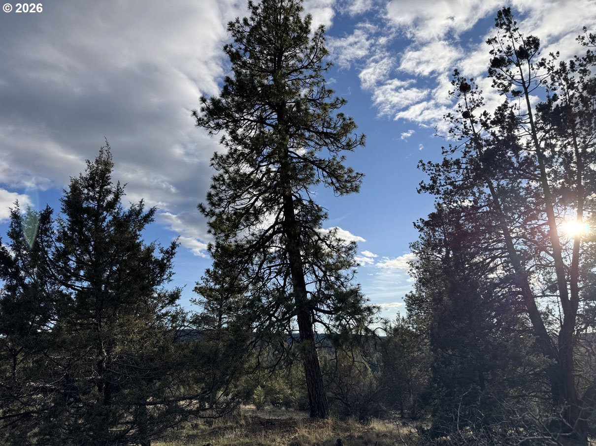 Canvasback Dr 35 Property Photo 17