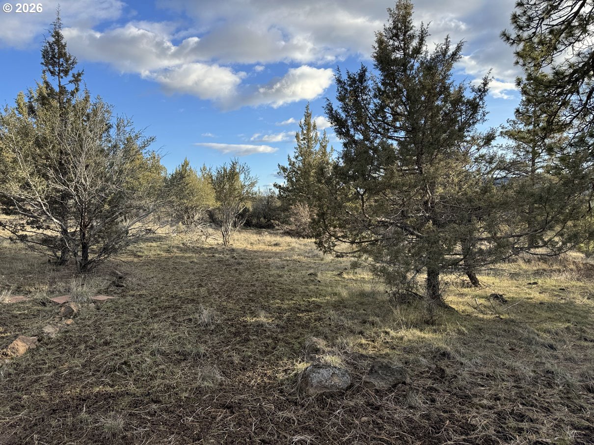 Canvasback Dr 35 Property Photo 18