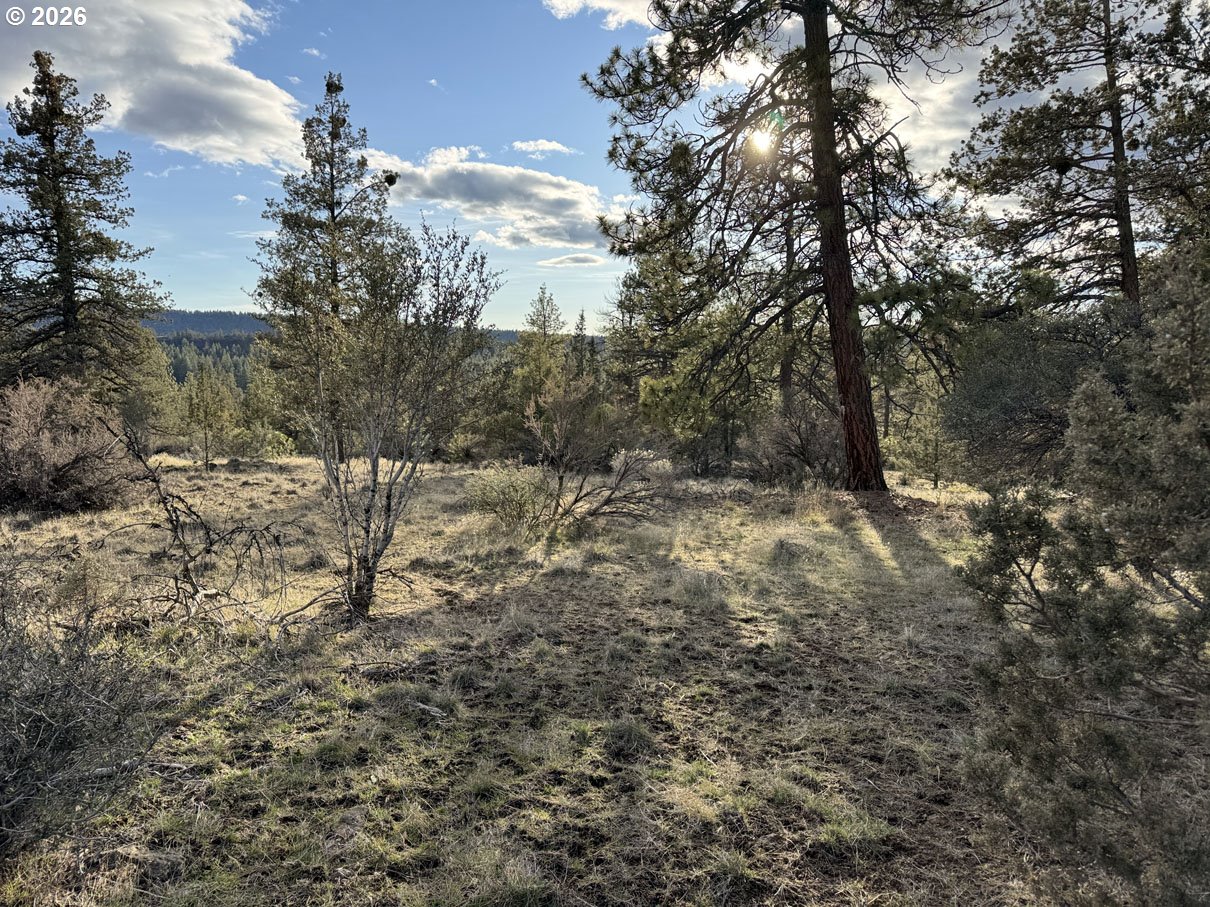 Canvasback Dr 35 Property Photo 19
