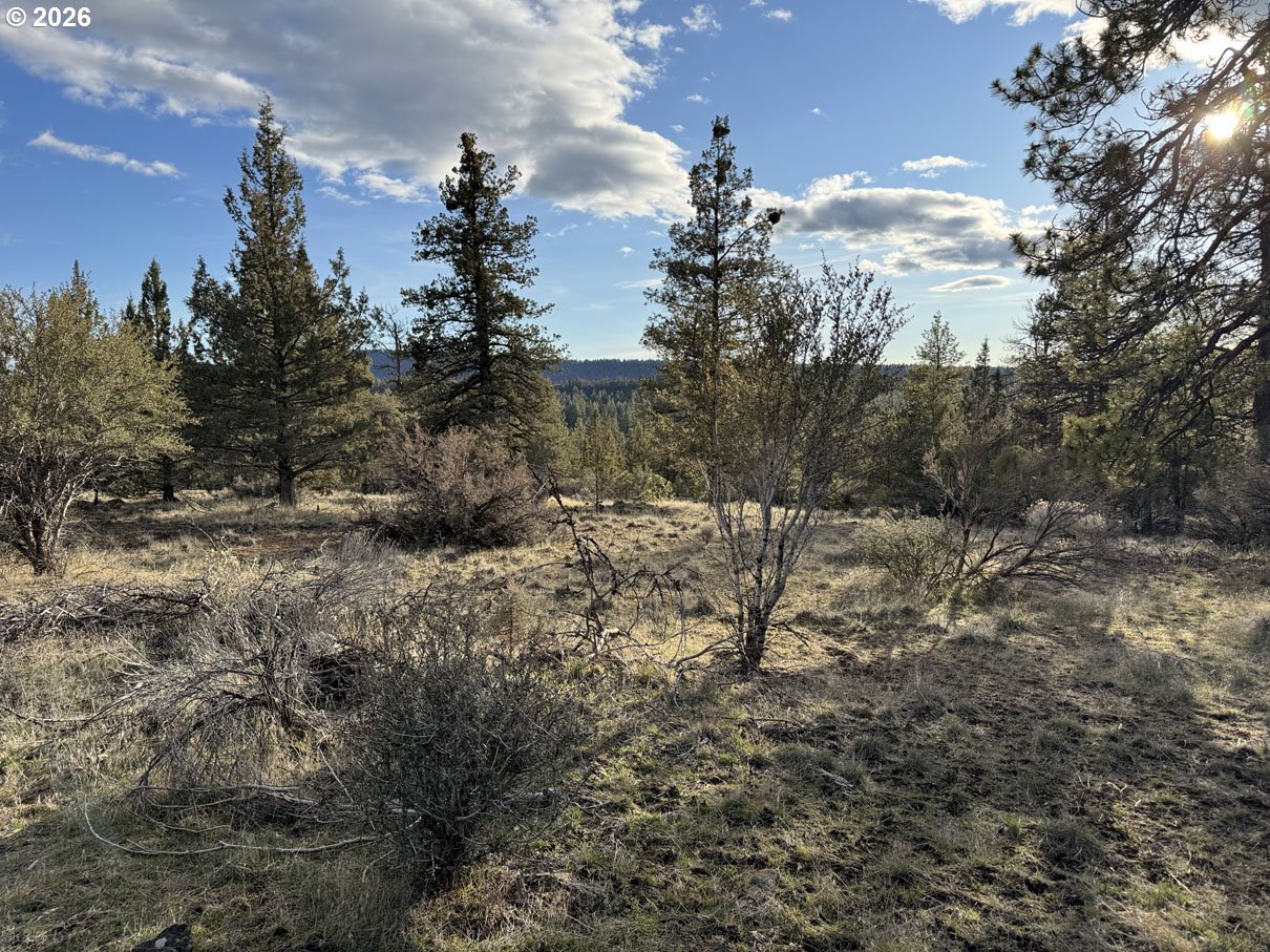 Canvasback Dr 35 Property Photo 20