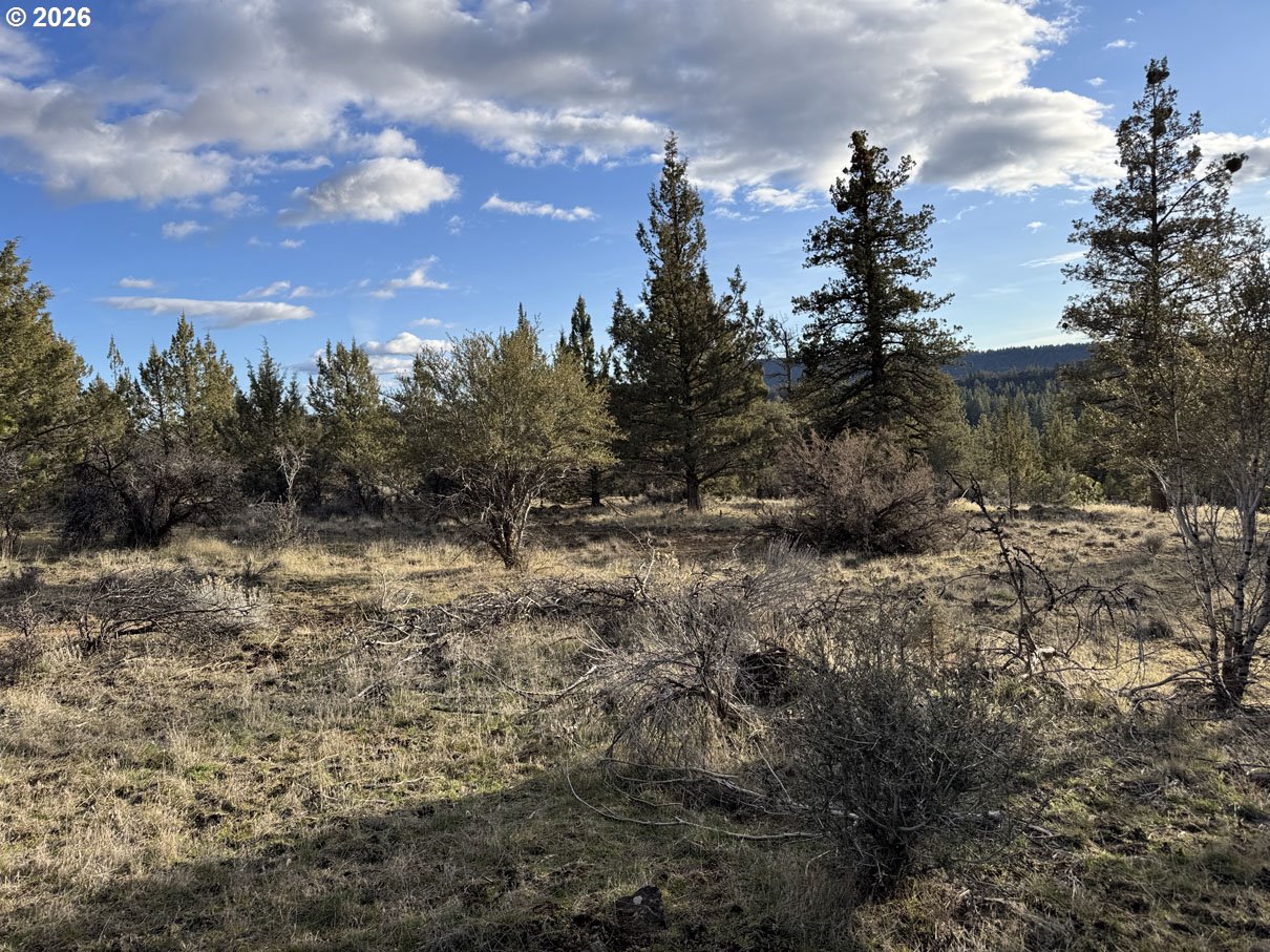 Canvasback Dr 35 Property Photo 21