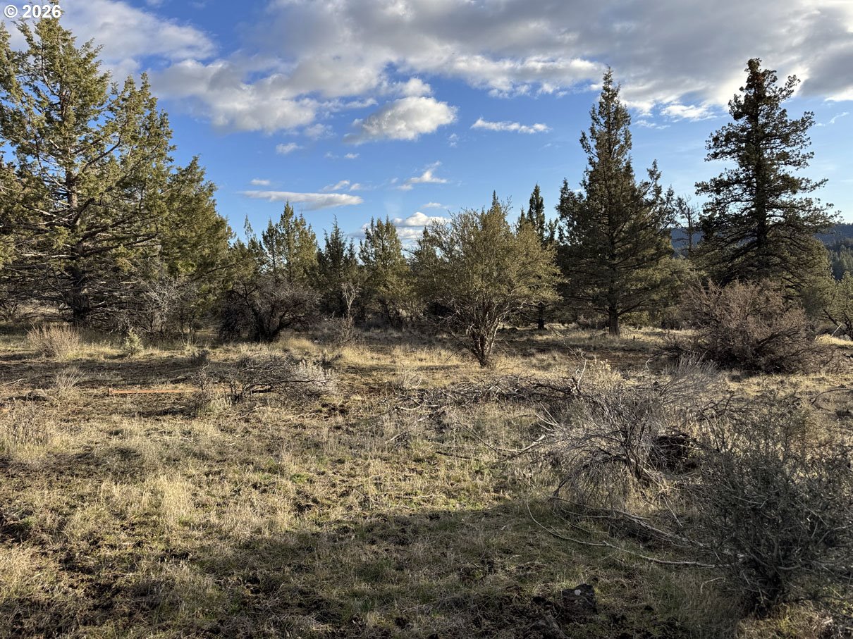 Canvasback Dr 35 Property Photo 22