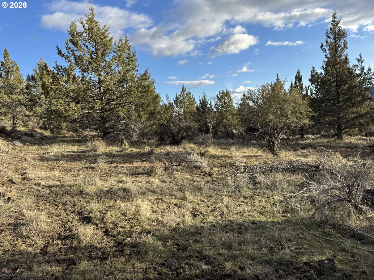 Canvasback Dr 35 Property Photo 23