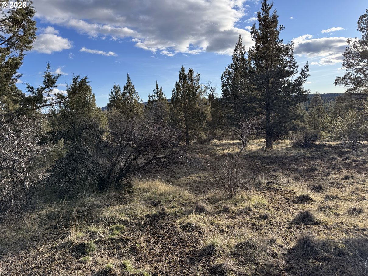 Canvasback Dr 35 Property Photo 24