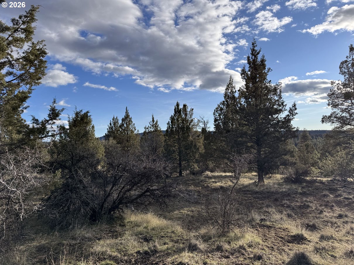 Canvasback Dr 35 Property Photo 25