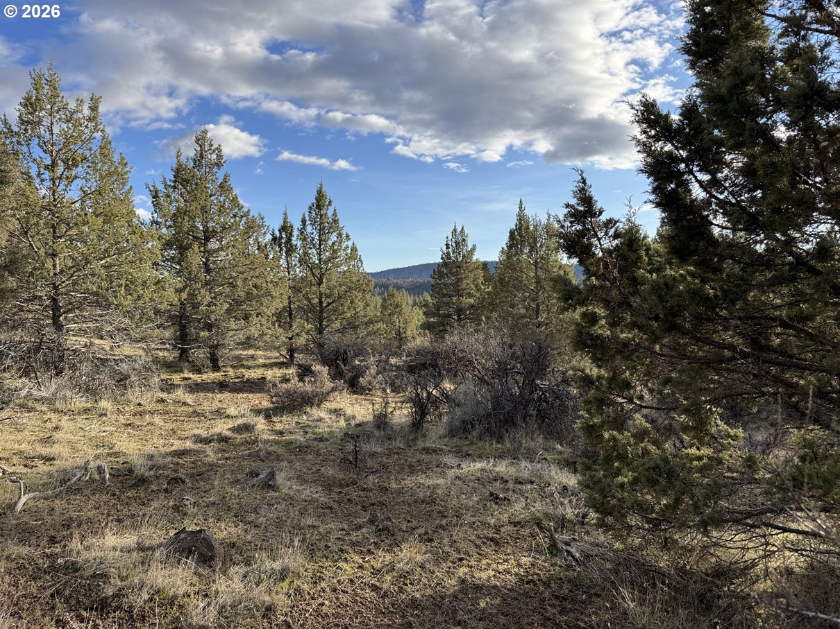 Canvasback Dr 35 Property Photo 26