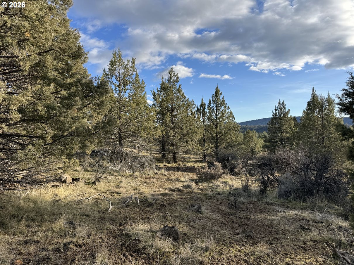 Canvasback Dr 35 Property Photo 27