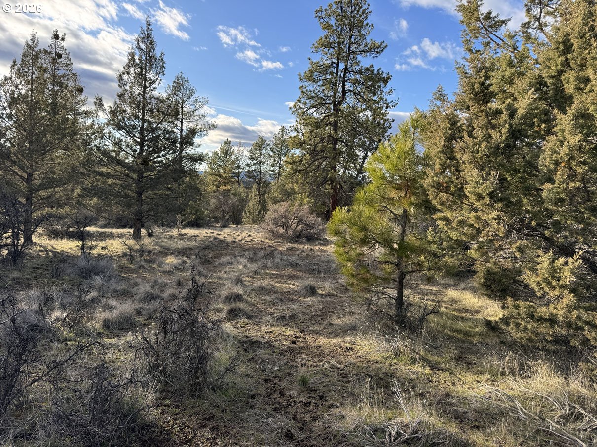 Canvasback Dr 35 Property Photo 28