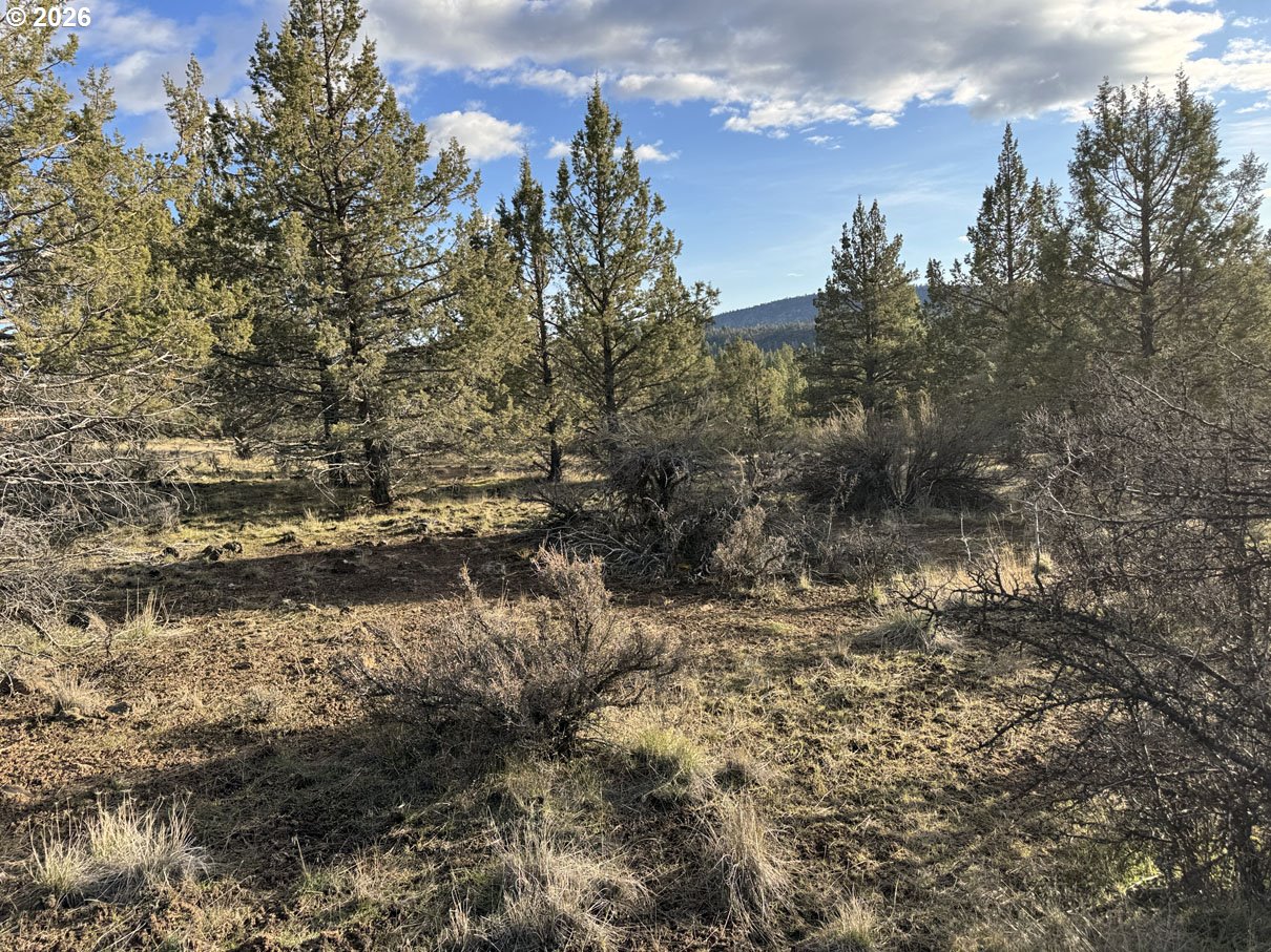 Canvasback Dr 35 Property Photo 29