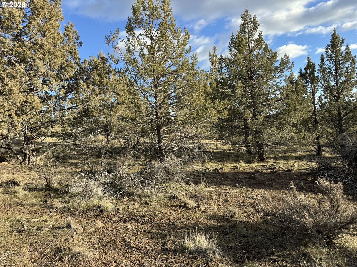 Canvasback Dr 35 Property Photo 30