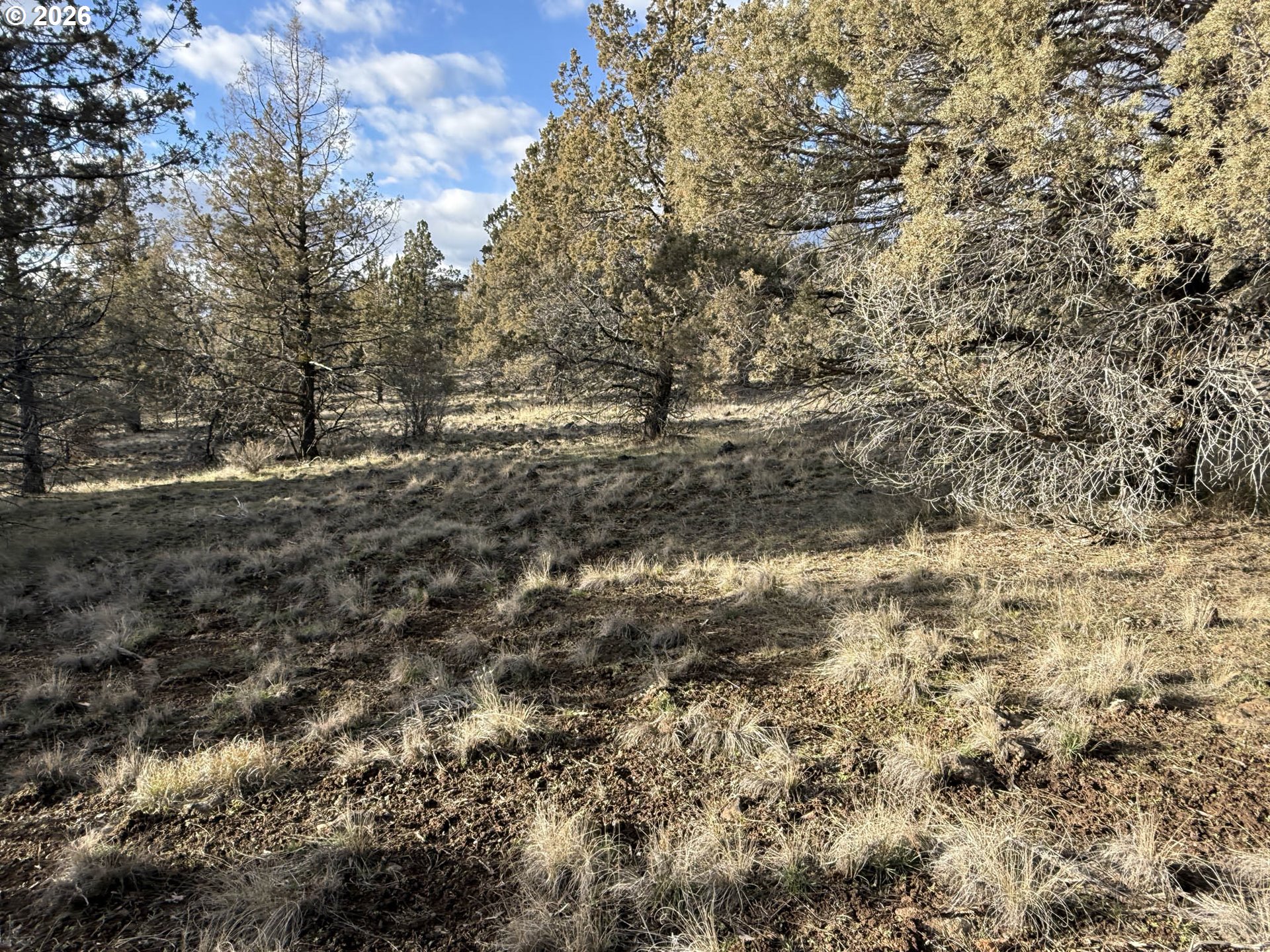 Canvasback Dr 35 Property Photo 31