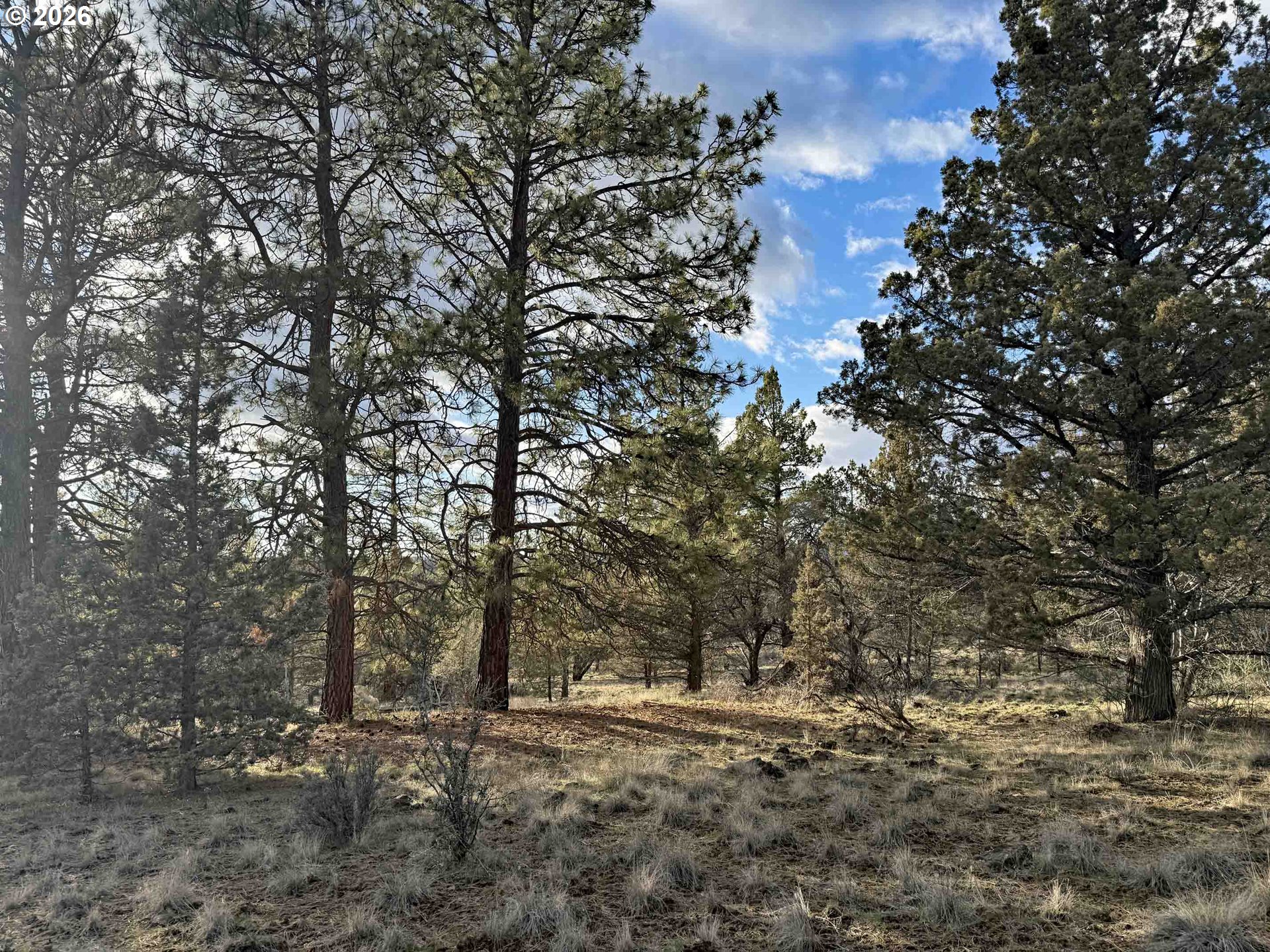 Canvasback Dr 35 Property Photo 32