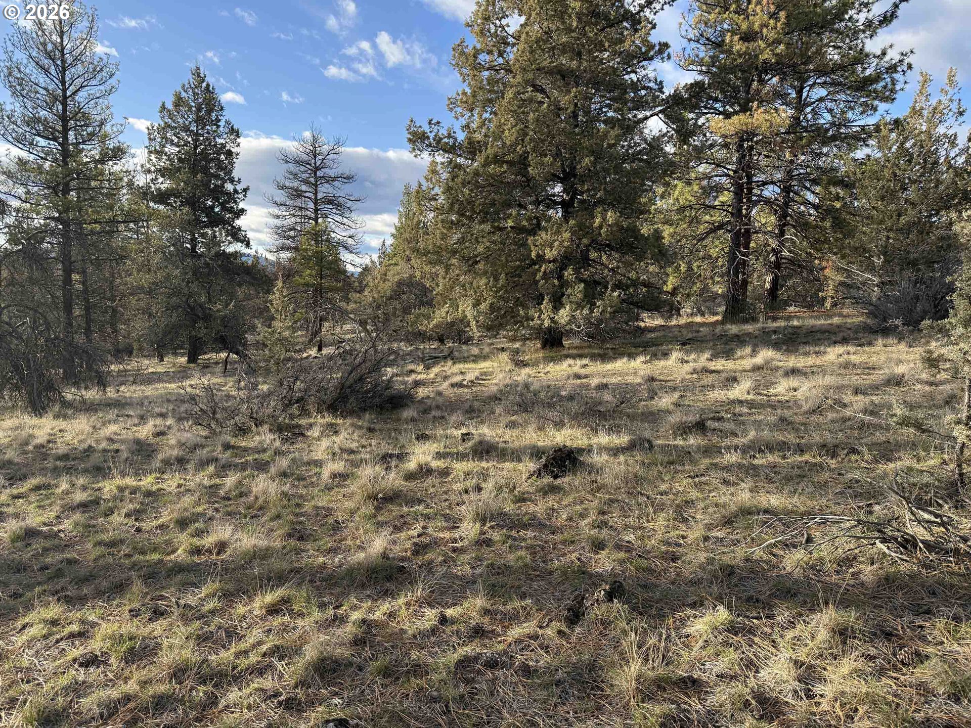 Canvasback Dr 35 Property Photo 33