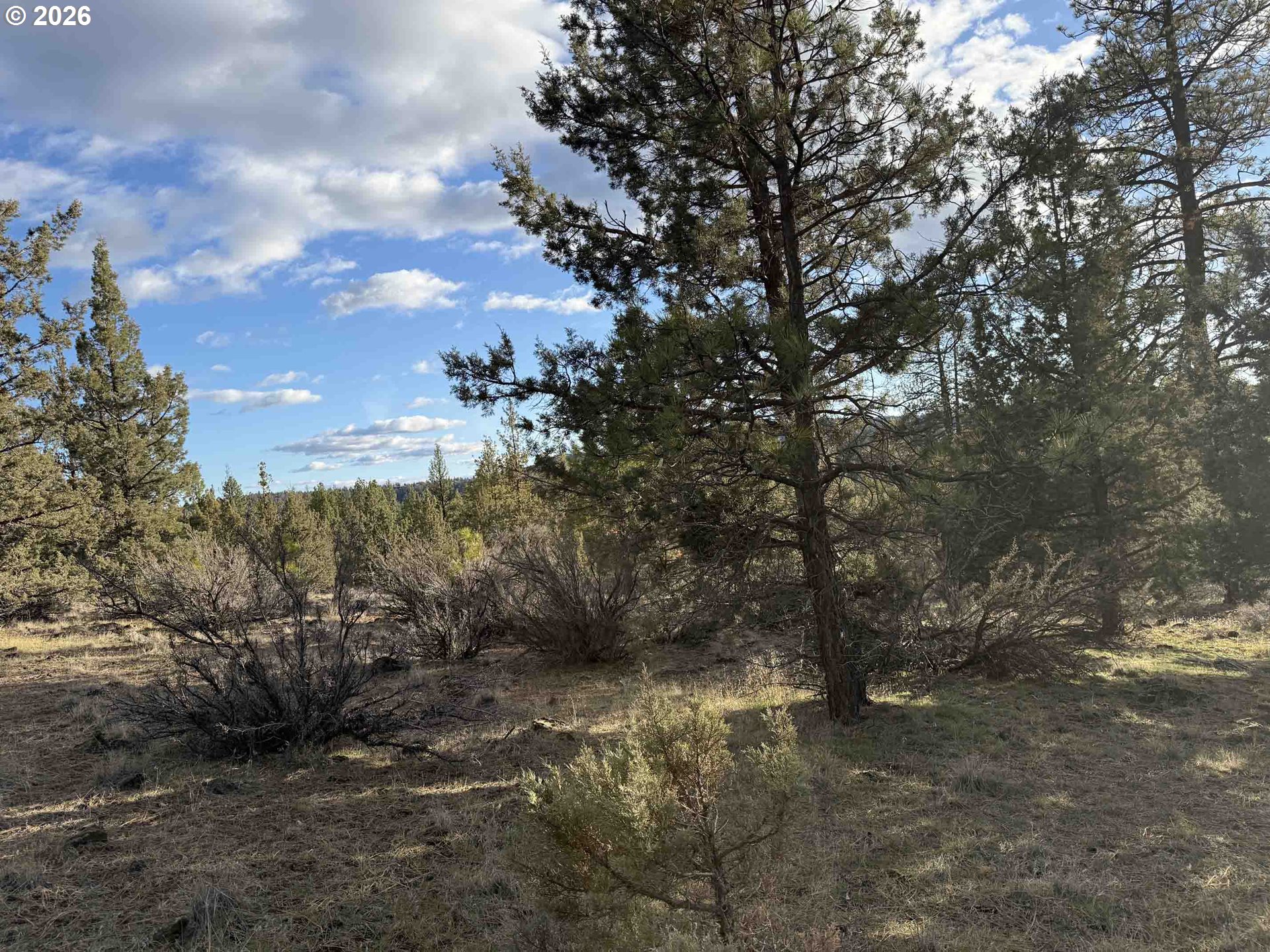 Canvasback Dr 35 Property Photo 34