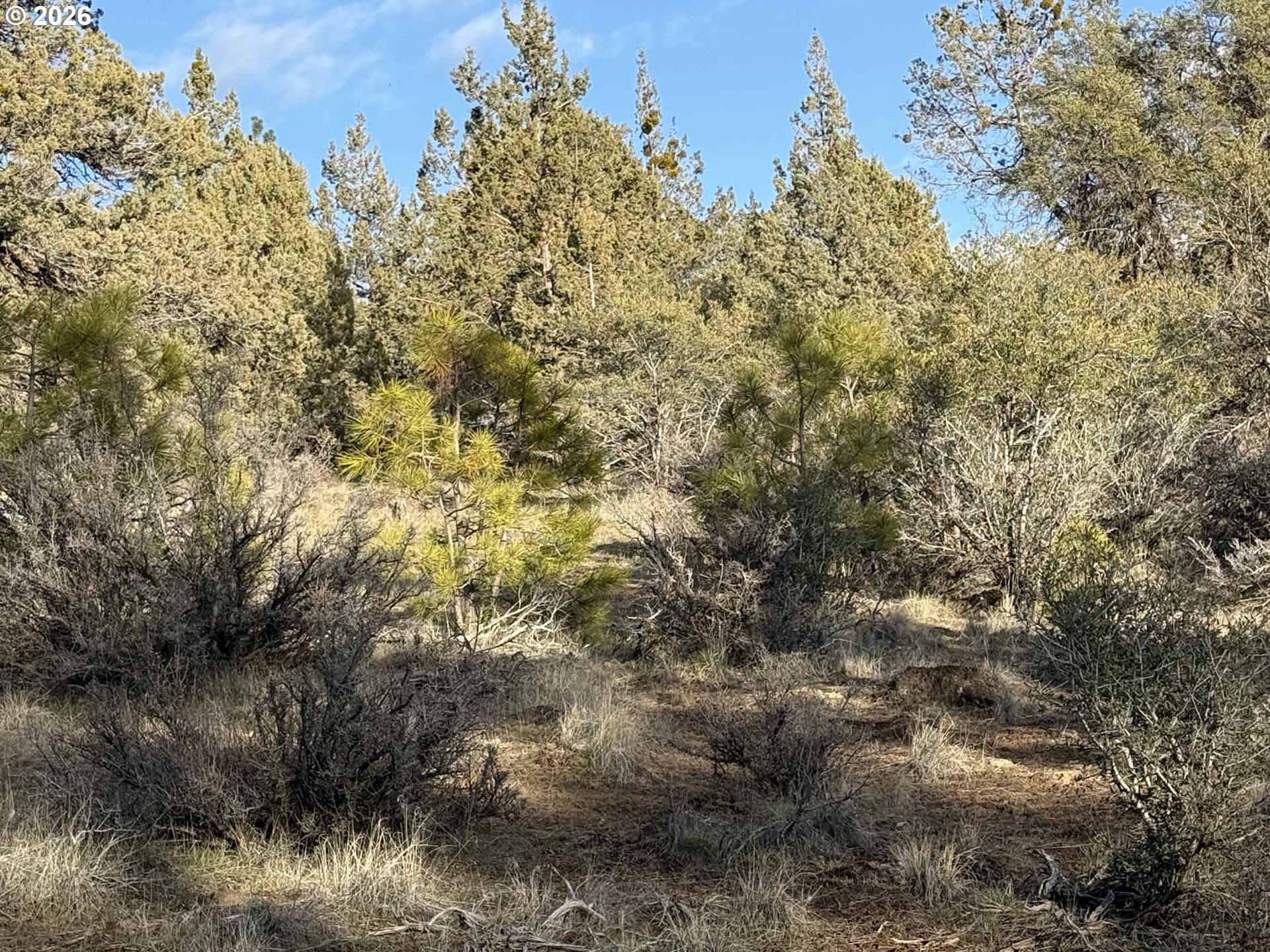 Canvasback Dr 35 Property Photo 35