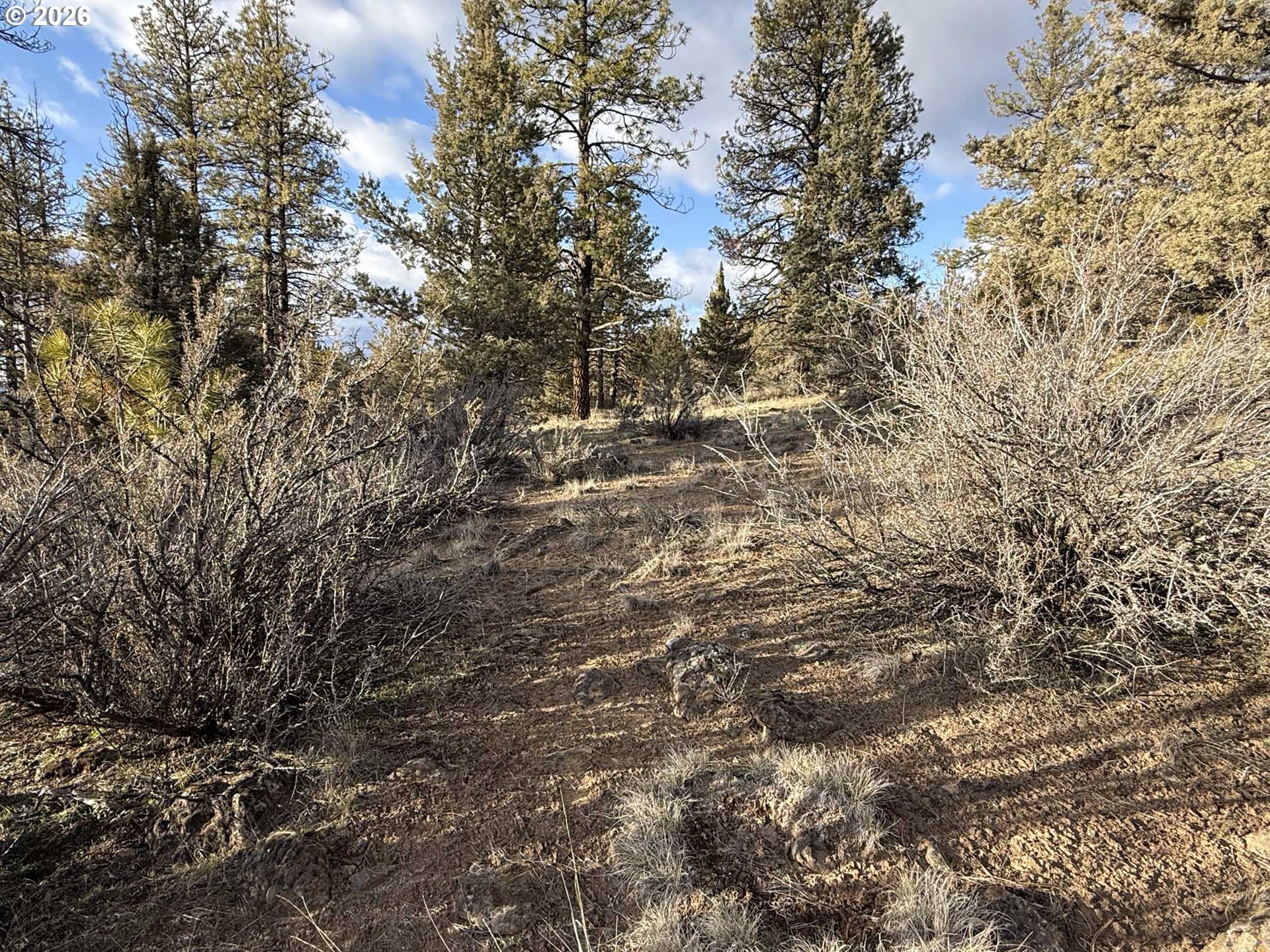 Canvasback Dr 35 Property Photo 36