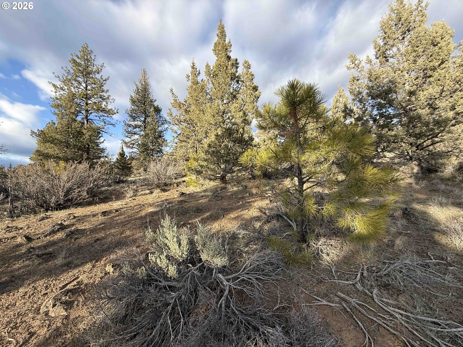 Canvasback Dr 35 Property Photo 37