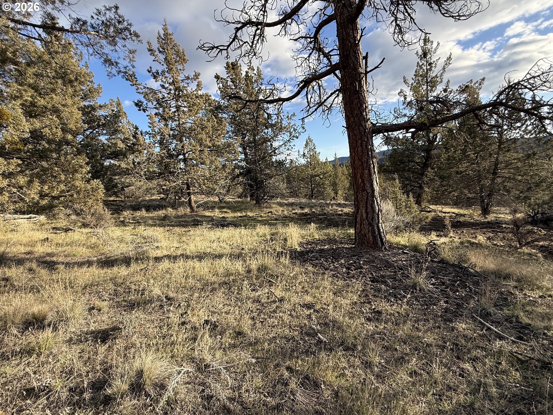 Canvasback Dr 35 Property Photo 38