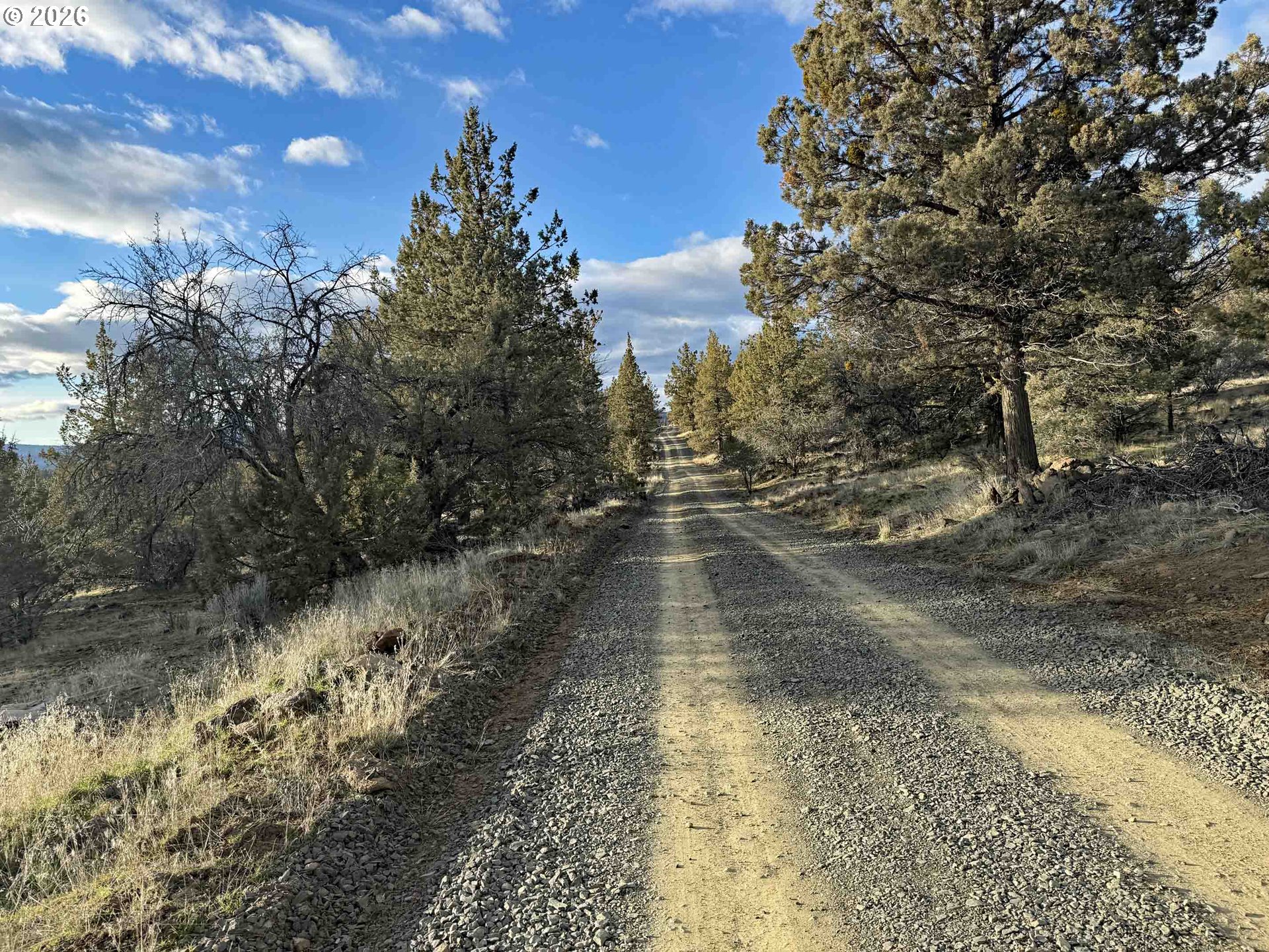 Canvasback Dr 35 Property Photo 39