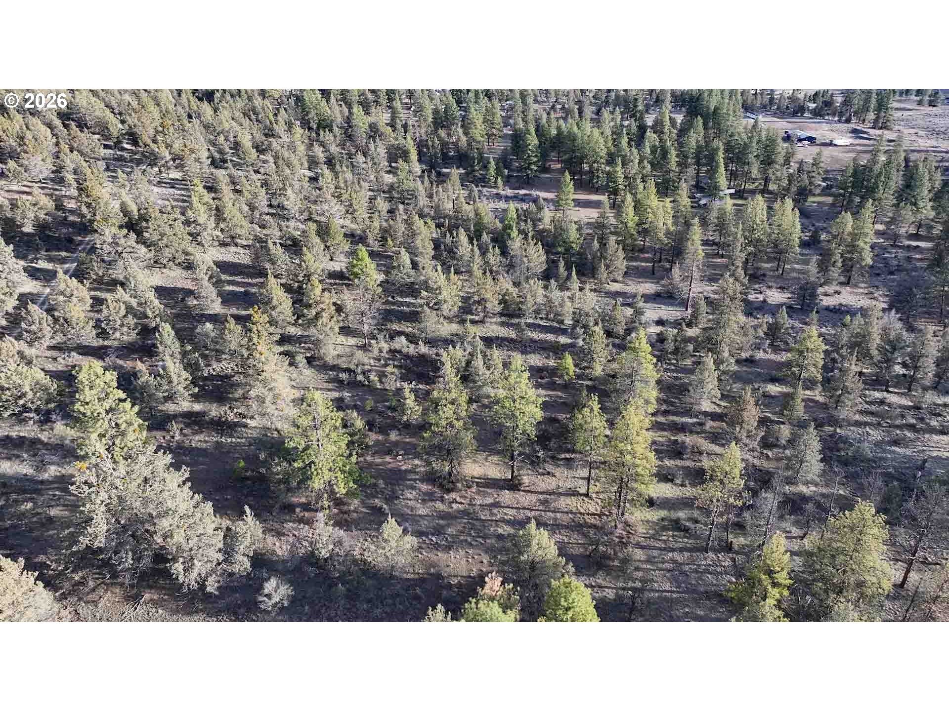 Canvasback Dr 35 Property Photo 41