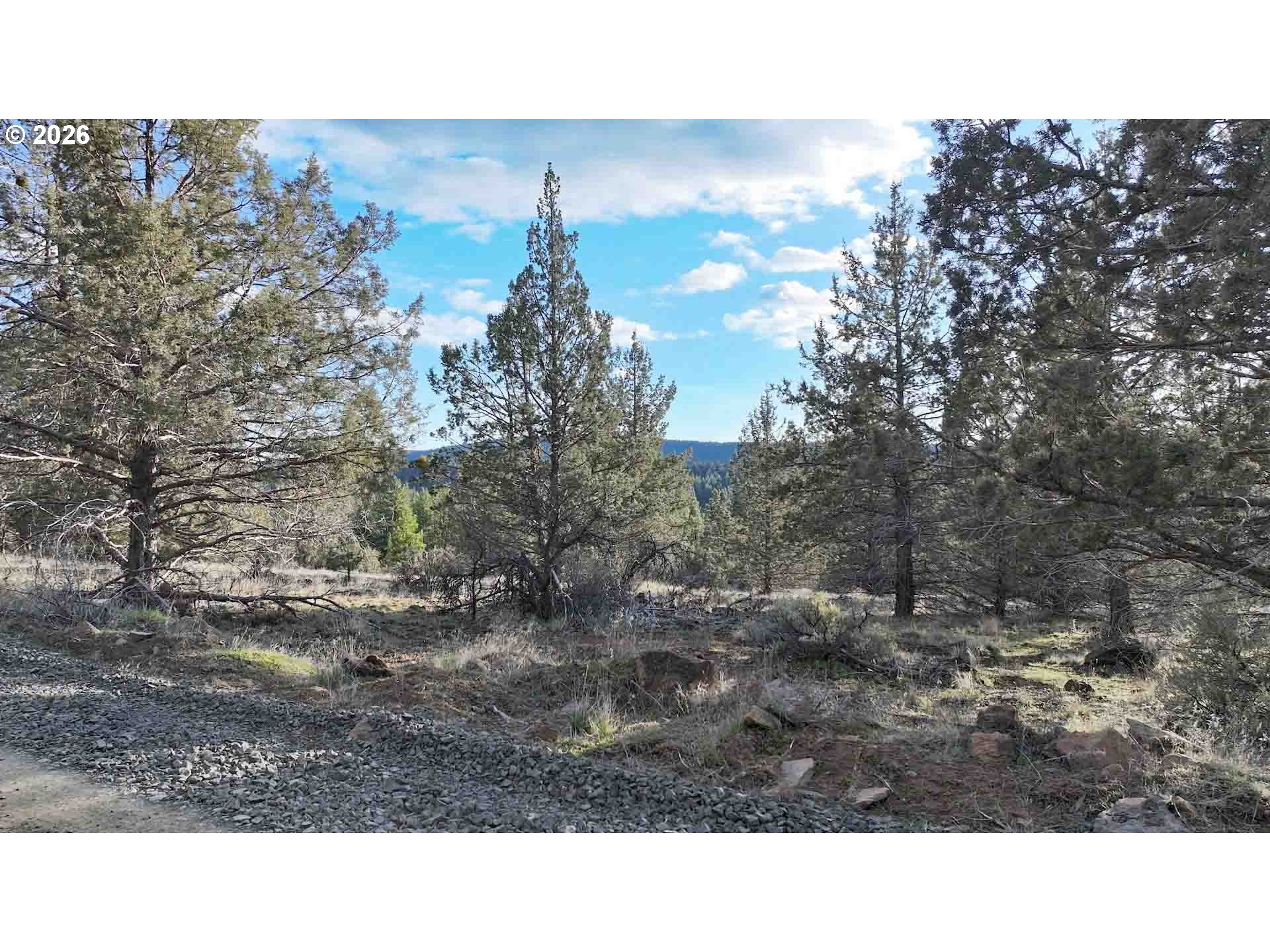Canvasback Dr 35 Property Photo 43