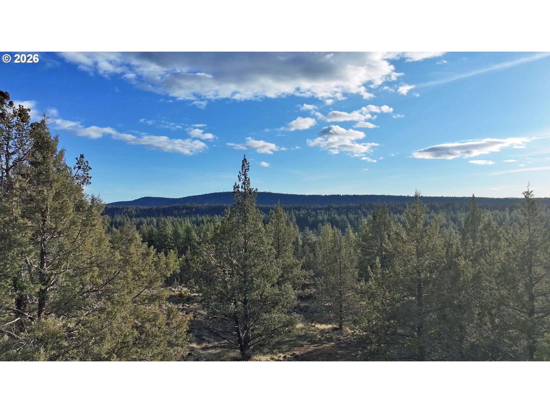 Canvasback Dr 35 Property Photo 45