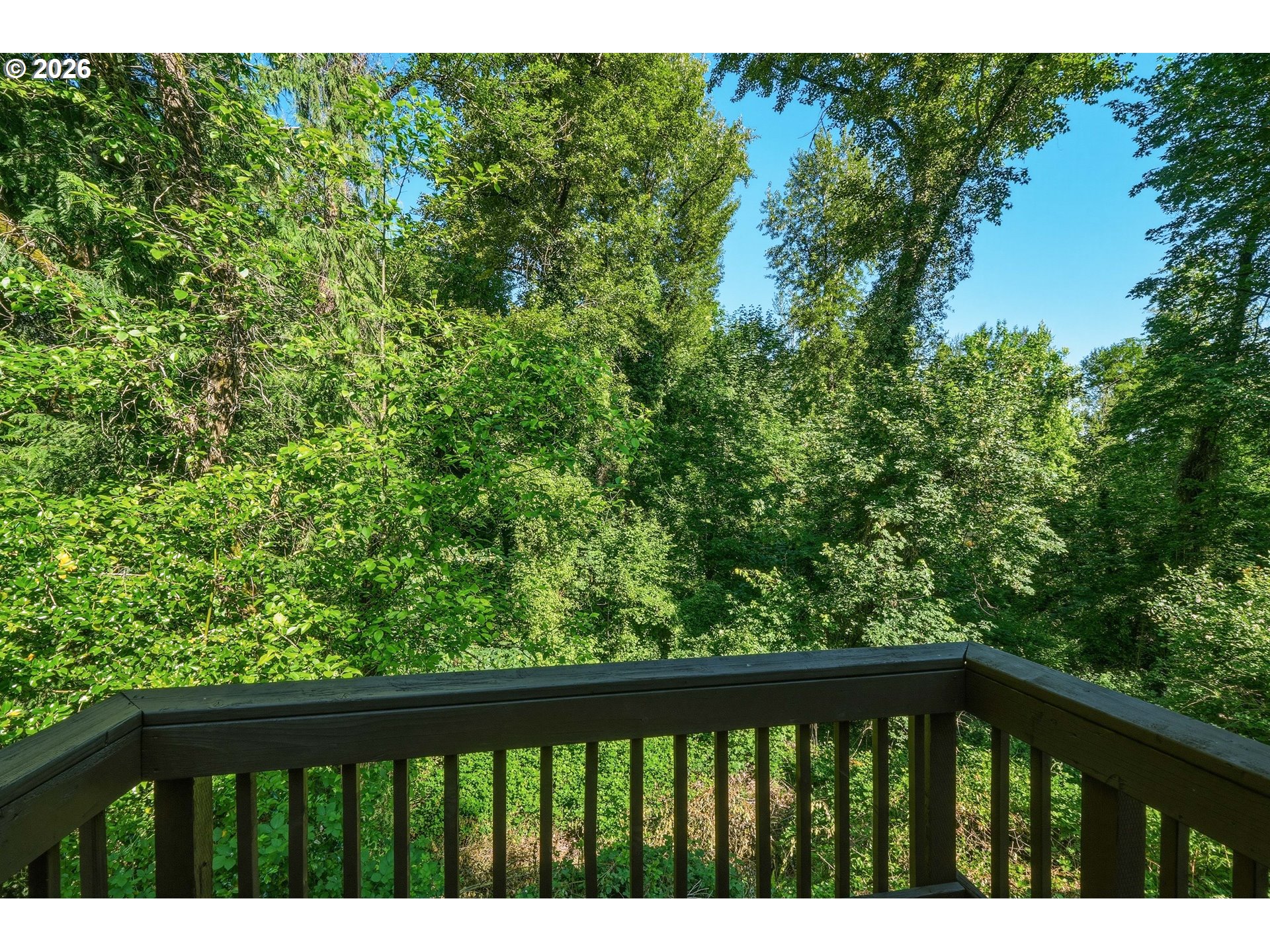 19872 White Cloud Cir Property Photo 21