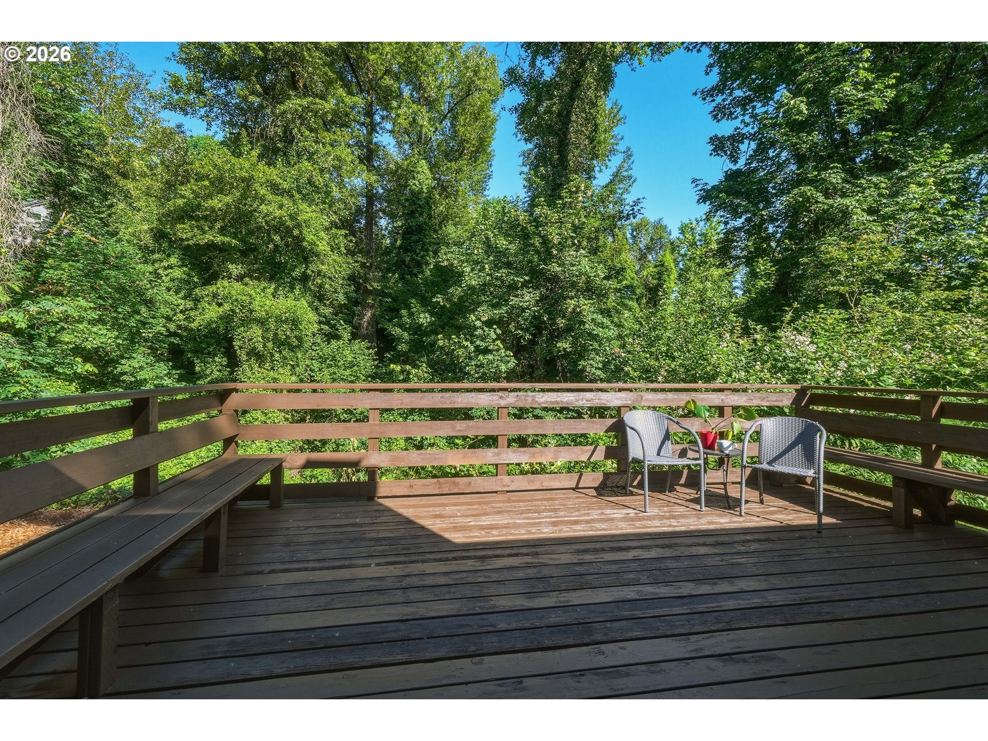 19872 White Cloud Cir Property Photo 22