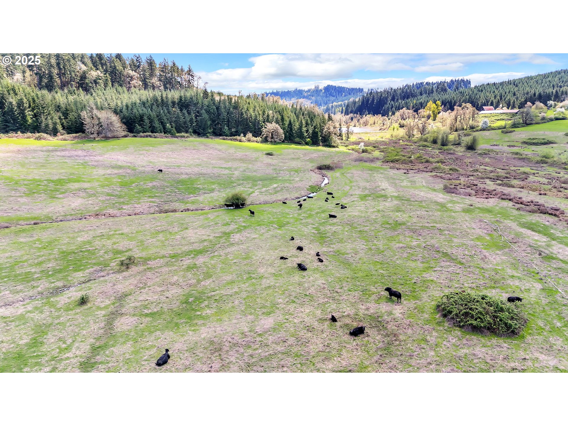 26900 Crow Rd Property Photo 10