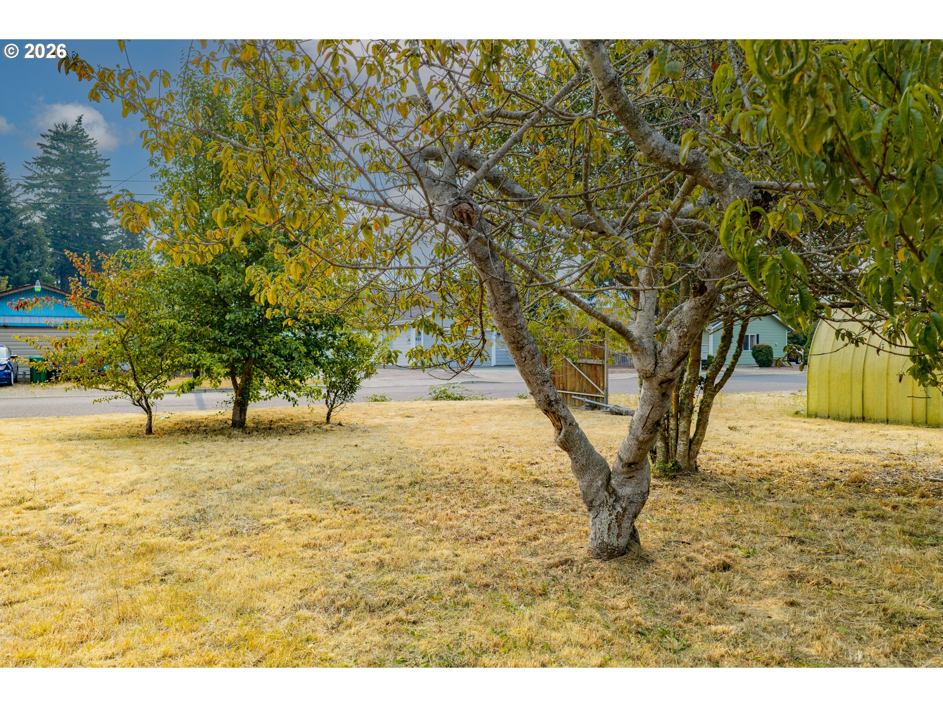 10 Tamarack Property Photo 3