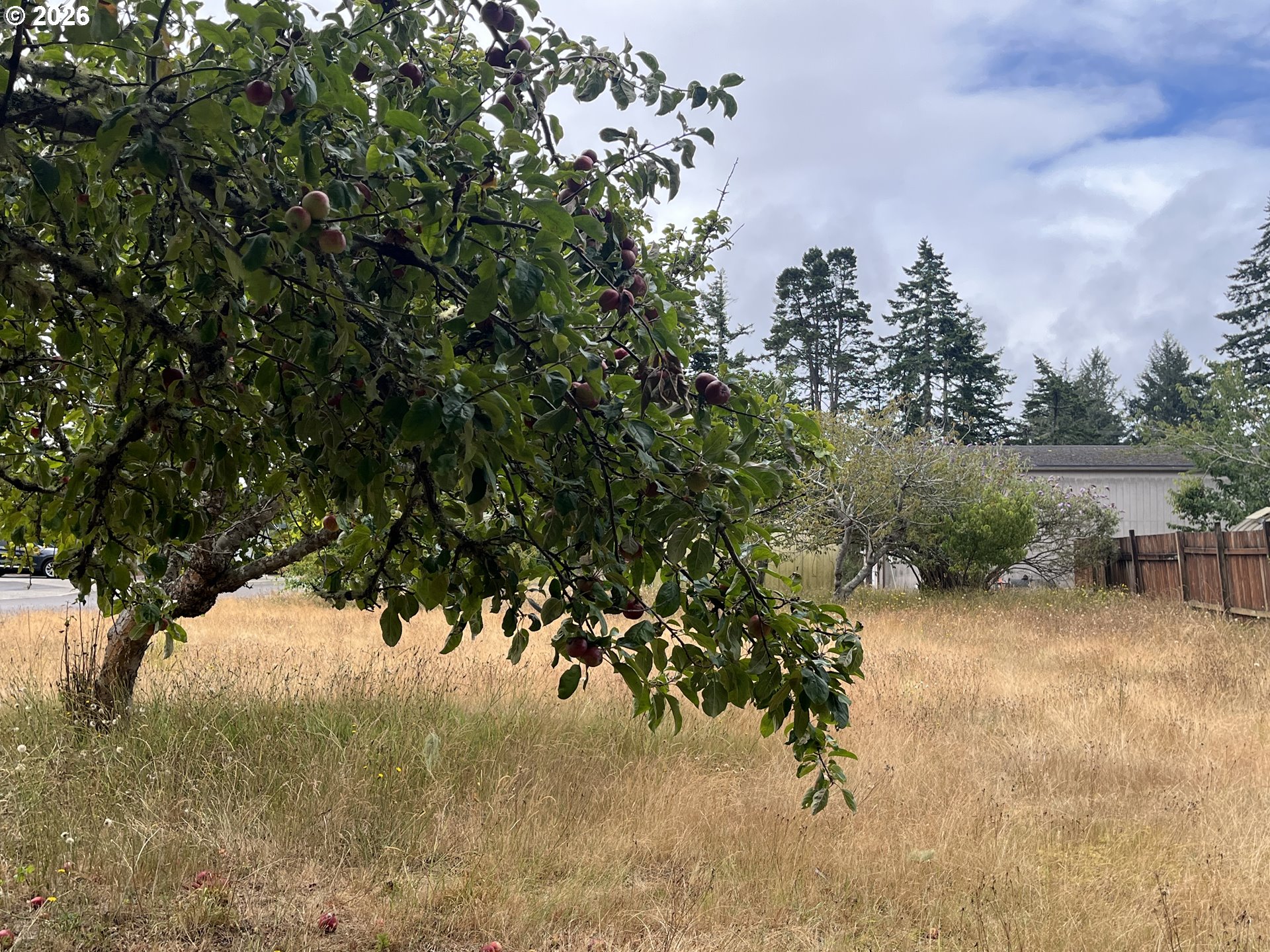 10 Tamarack Property Photo 8