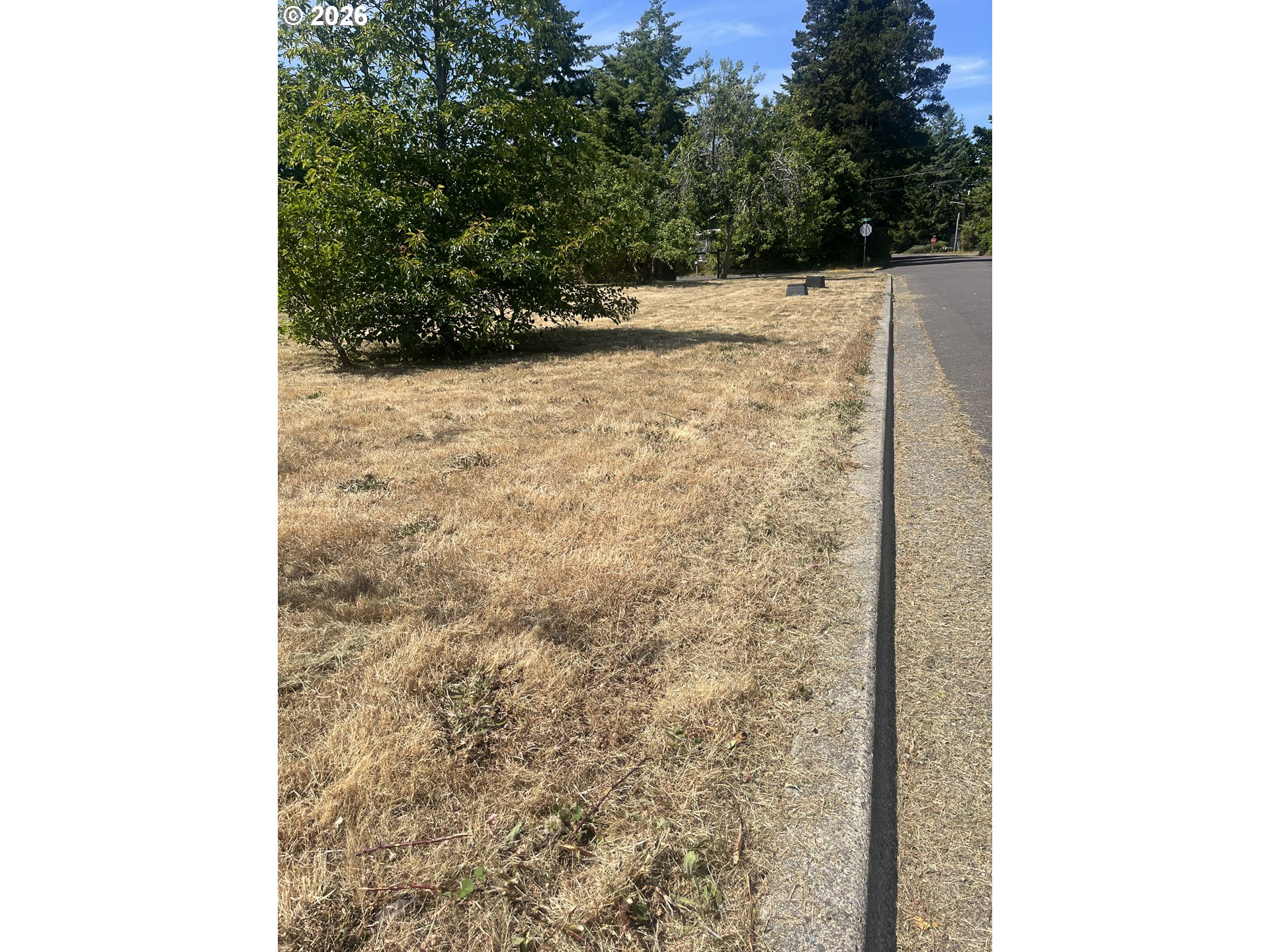 10 Tamarack Property Photo 9