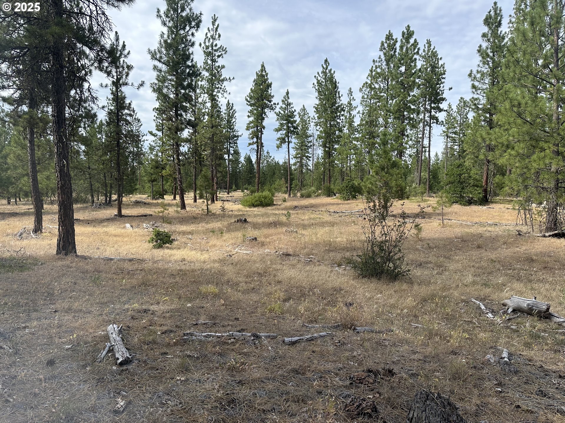 3 Greyback Mt Rd Property Photo 1