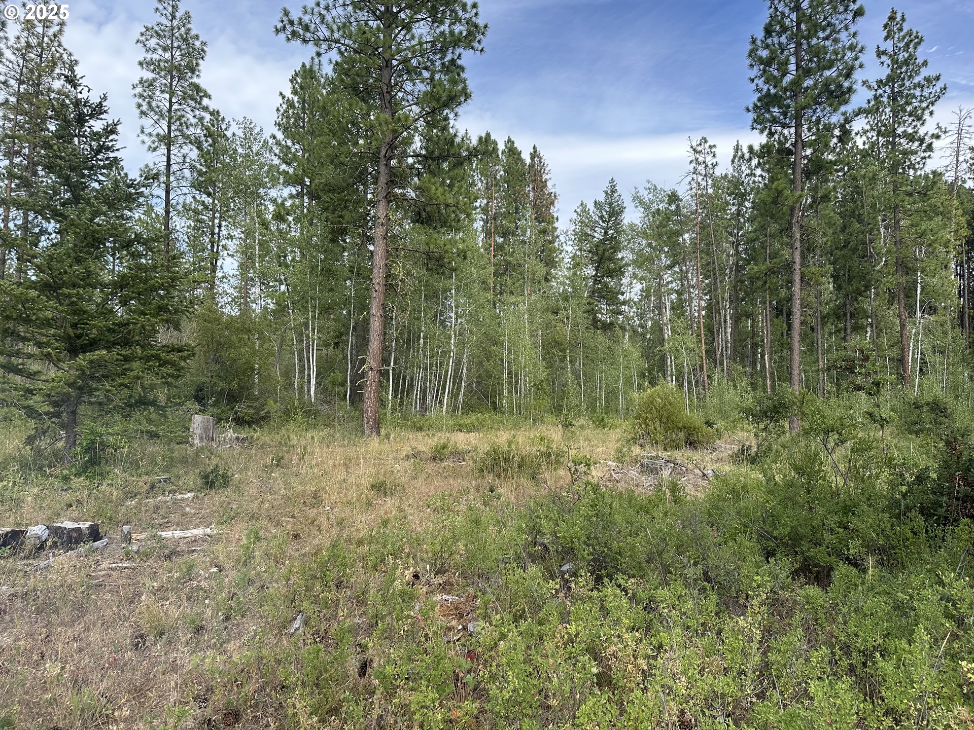3 Greyback Mt Rd Property Photo 2
