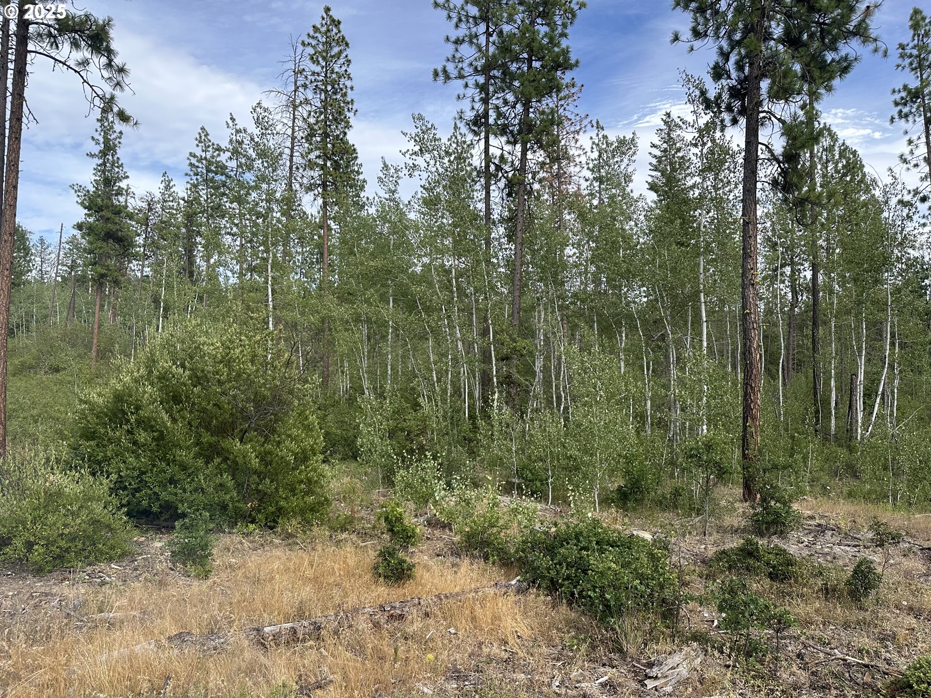 3 Greyback Mt Rd Property Photo 3